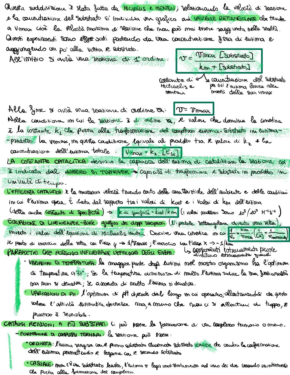 Preview documento per pagina 6