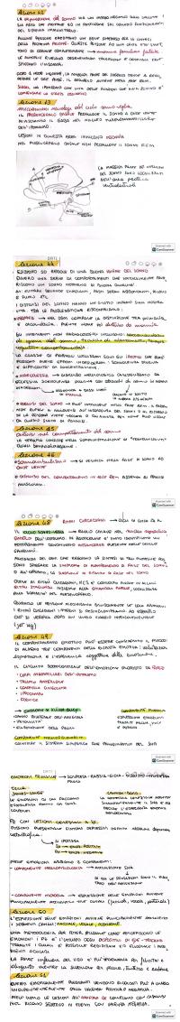 Preview documento per pagina 32