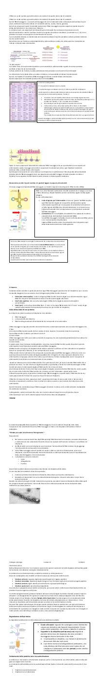 Preview documento per pagina 92