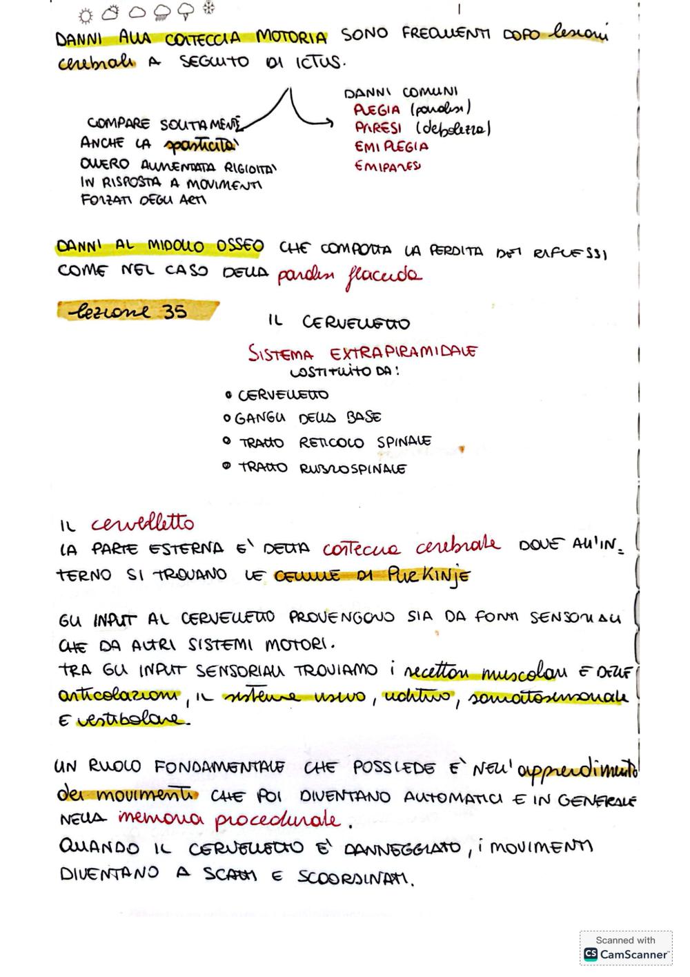 Preview documento per pagina 26