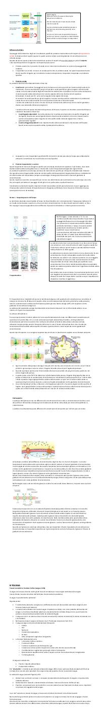 Preview documento per pagina 80
