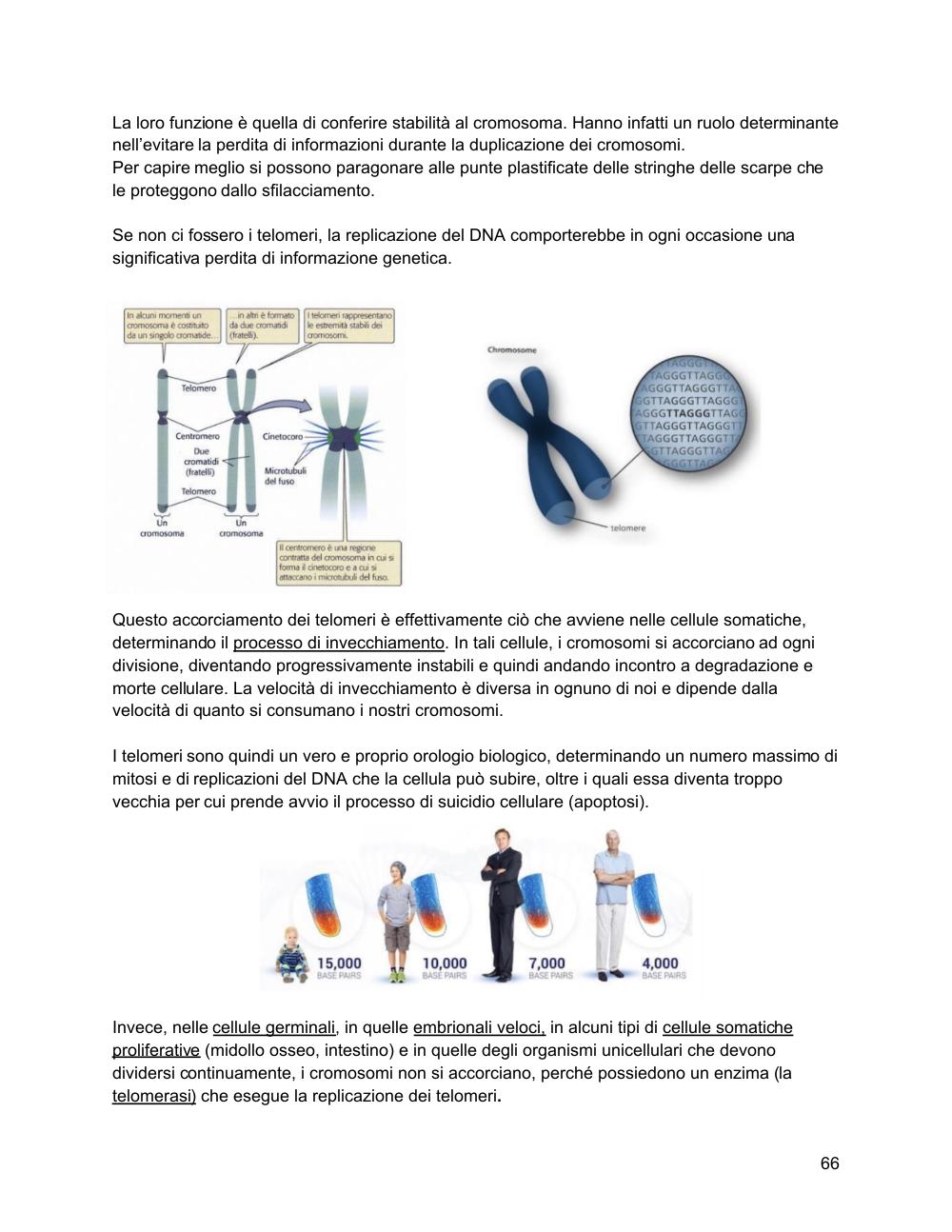 Preview documento per pagina 67