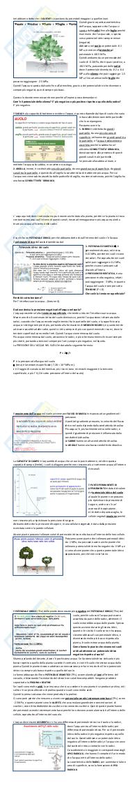Preview documento per pagina 2