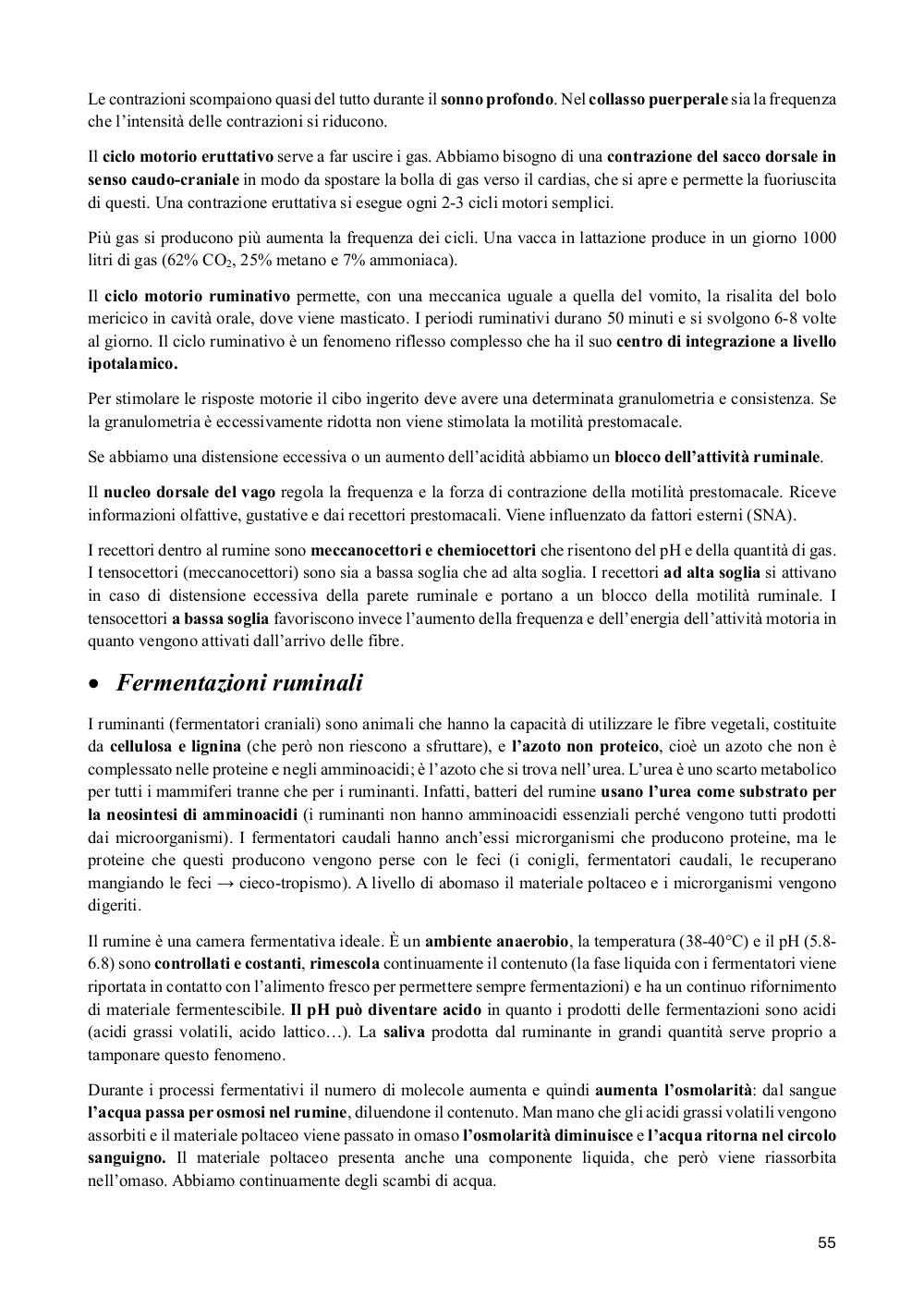 Preview documento per pagina 55