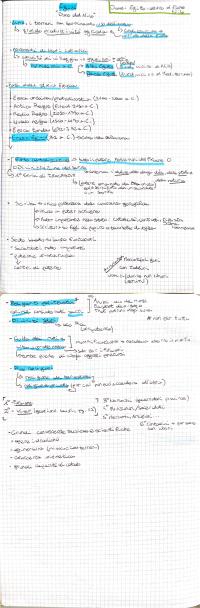 Preview documento per pagina 1