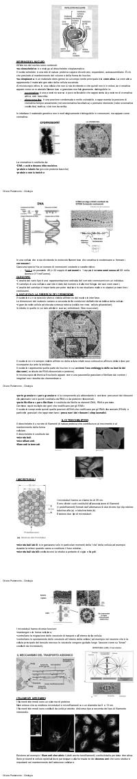 Preview documento per pagina 7