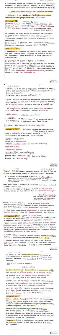 Preview documento per pagina 27