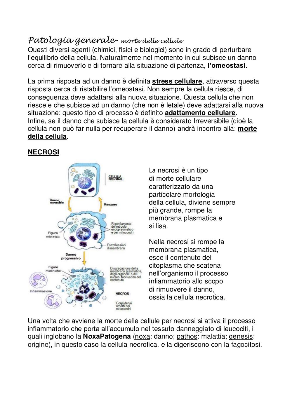 Preview documento per pagina 1