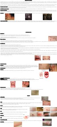Preview documento per pagina 7