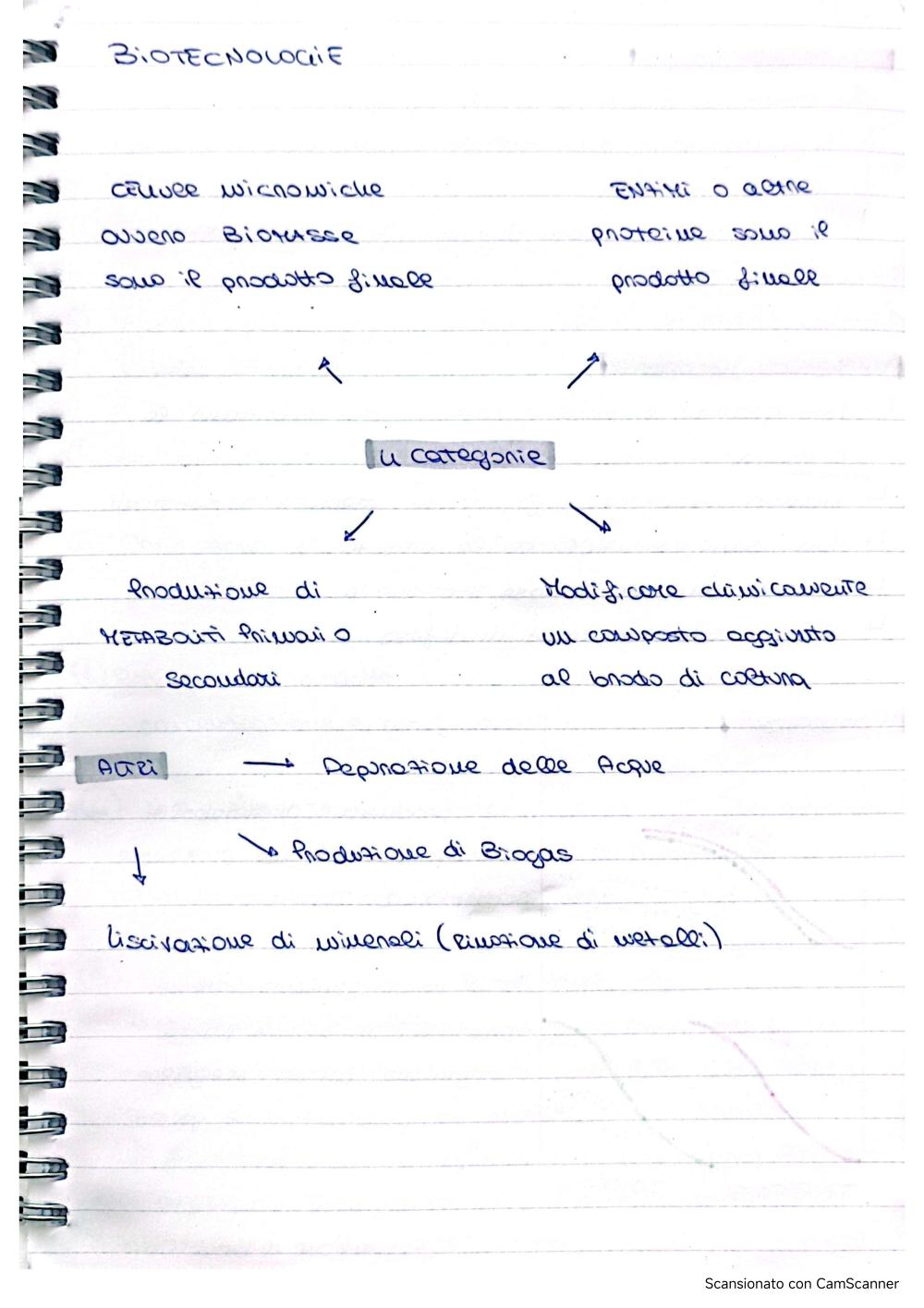 Preview documento per pagina 1