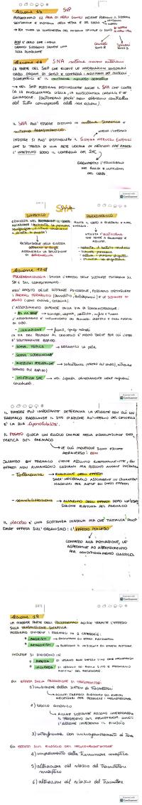 Preview documento per pagina 12