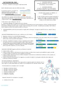 Preview documento per pagina 1