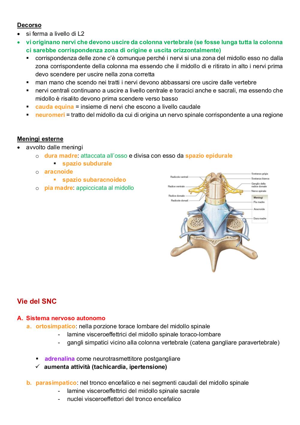 Preview documento per pagina 109