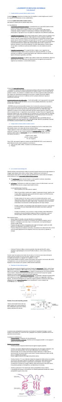 Preview documento per pagina 2