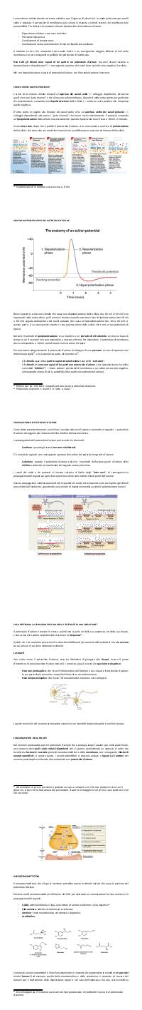 Preview documento per pagina 50