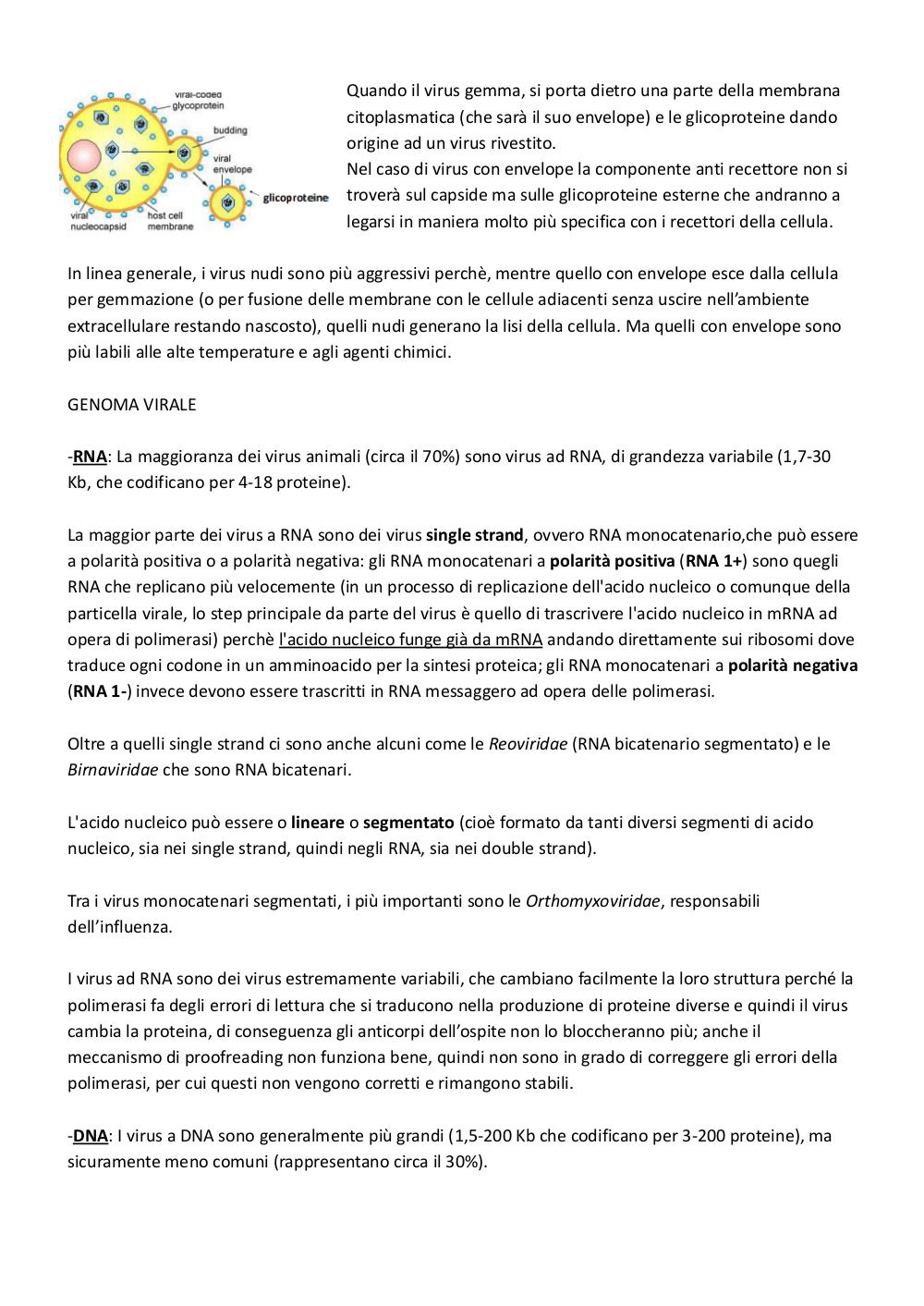 Preview documento per pagina 6