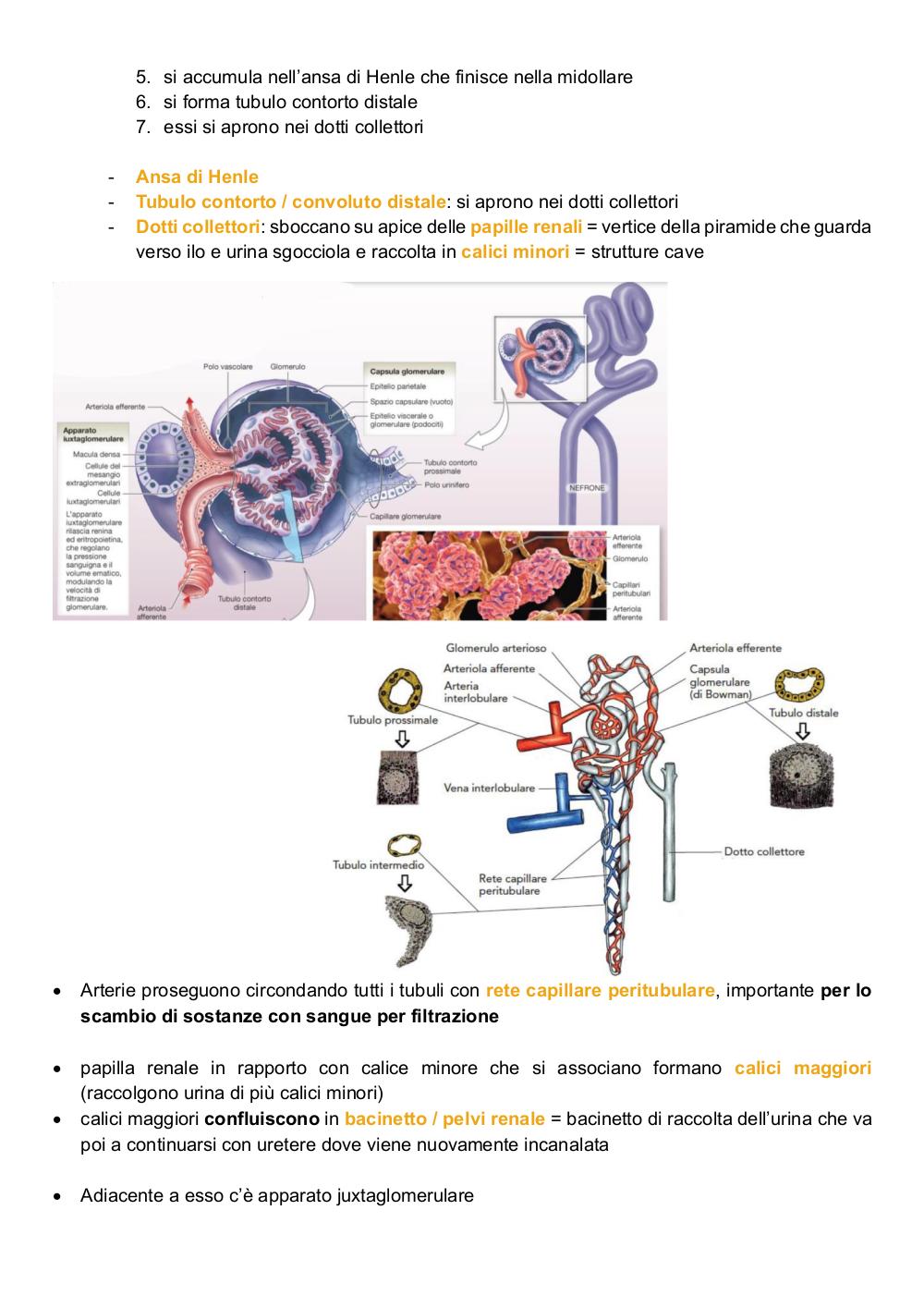 Preview documento per pagina 79