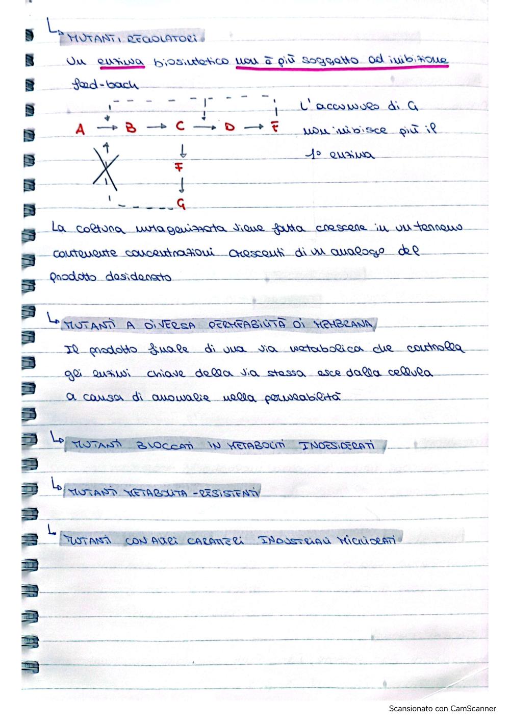 Preview documento per pagina 7