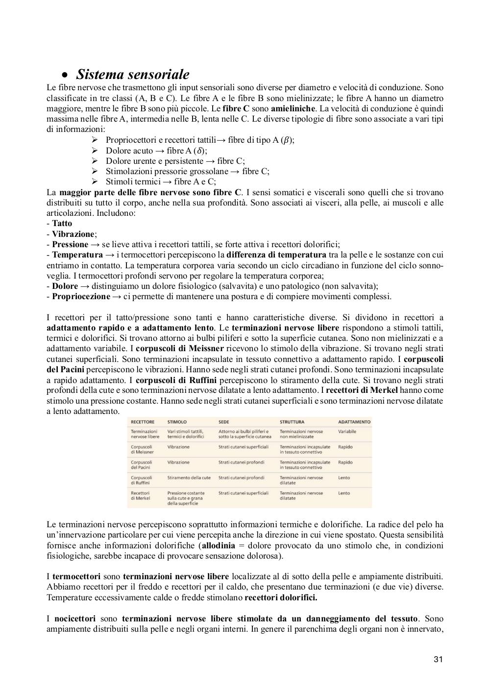 Preview documento per pagina 31
