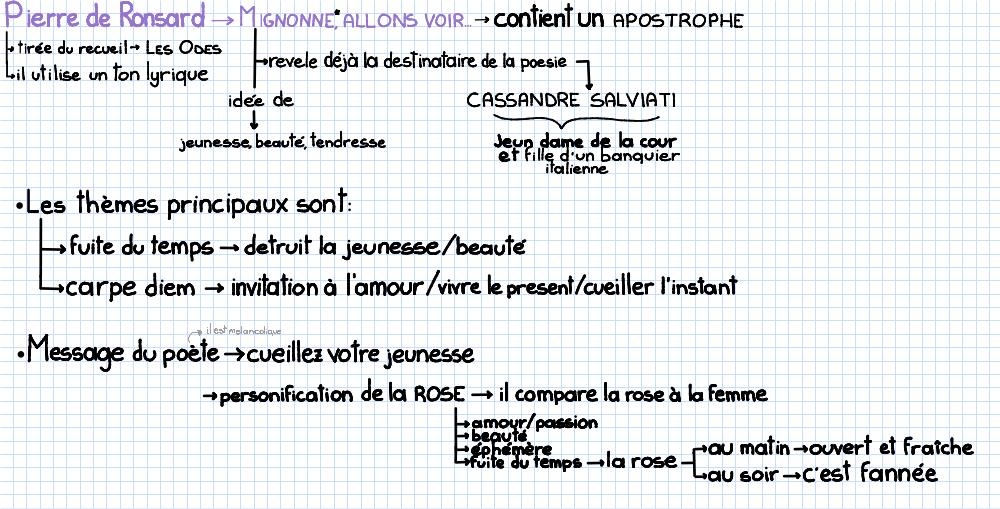 Preview documento per pagina 1