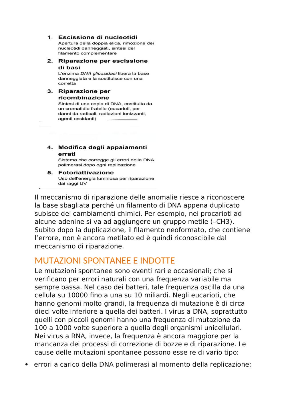 Preview documento per pagina 6