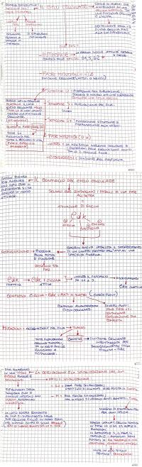 Preview documento per pagina 2