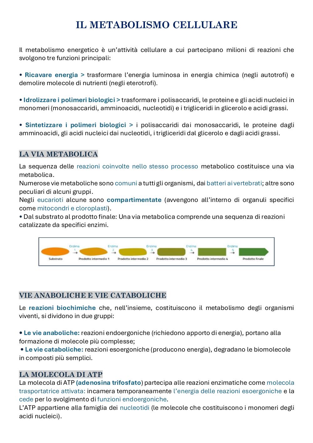 Preview documento per pagina 1