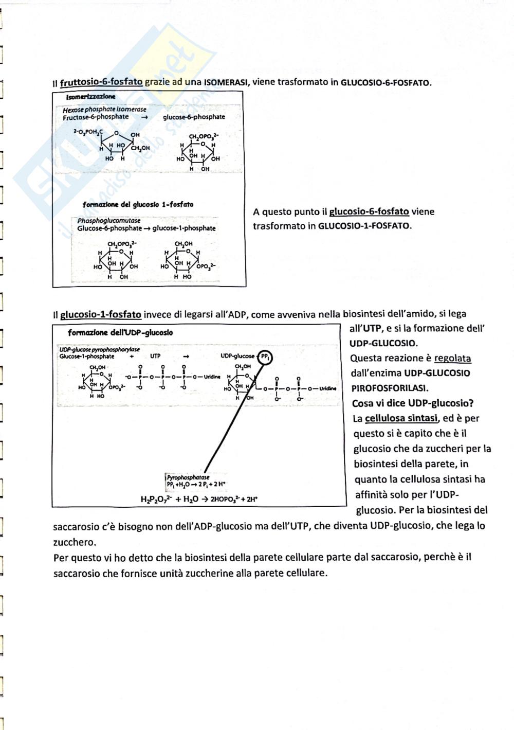 Preview documento per pagina 6