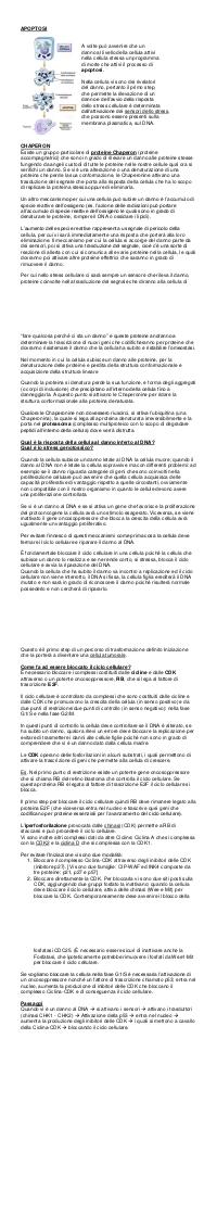 Preview documento per pagina 2