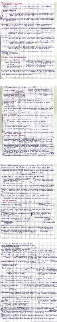 Preview documento per pagina 2
