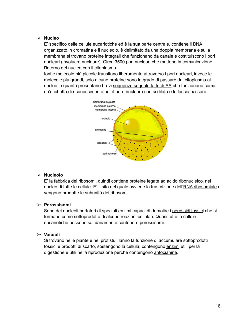 Preview documento per pagina 19