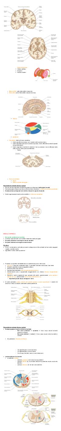 Preview documento per pagina 104