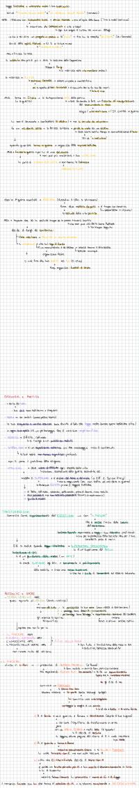 Preview documento per pagina 2