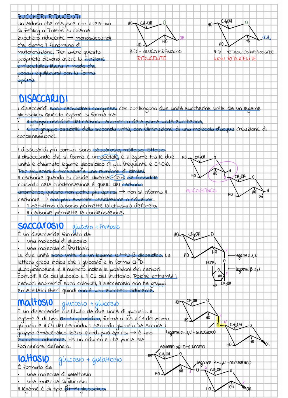Preview documento per pagina 31