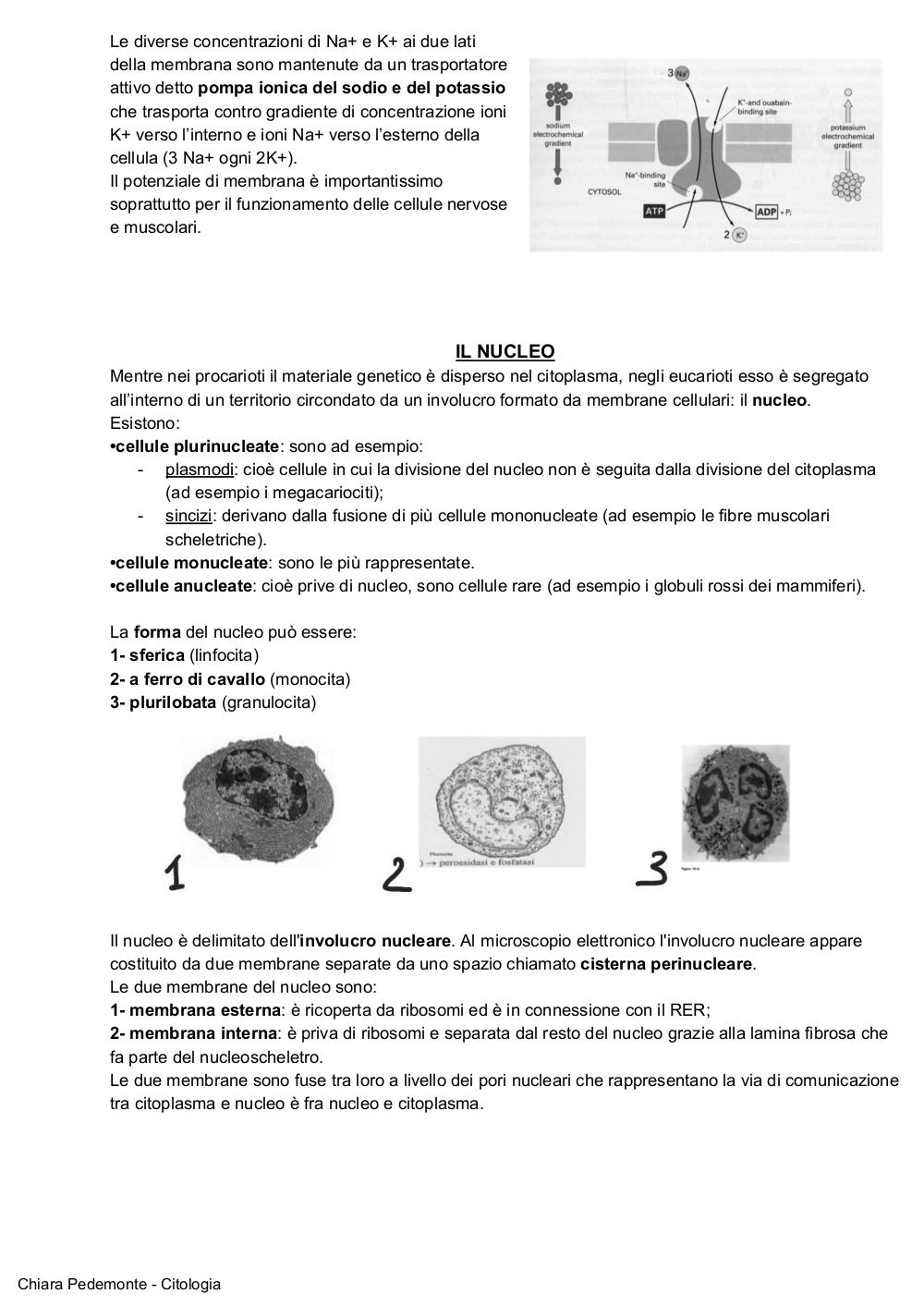 Preview documento per pagina 6