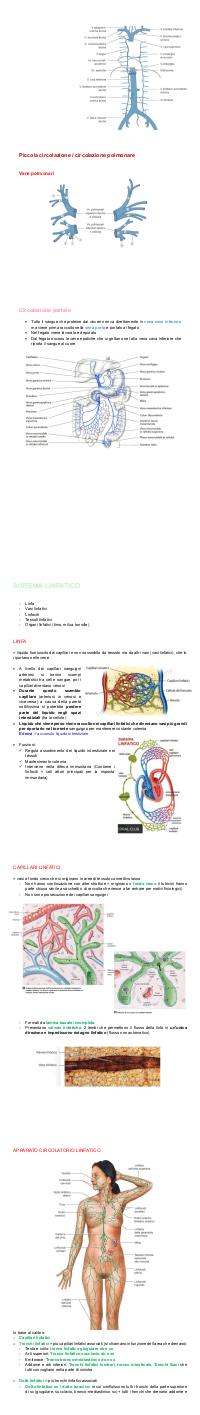 Preview documento per pagina 32