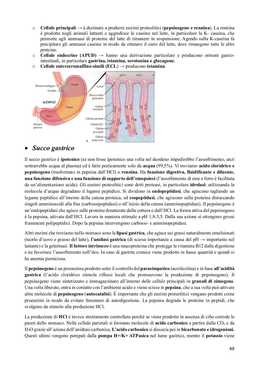 Preview documento per pagina 49