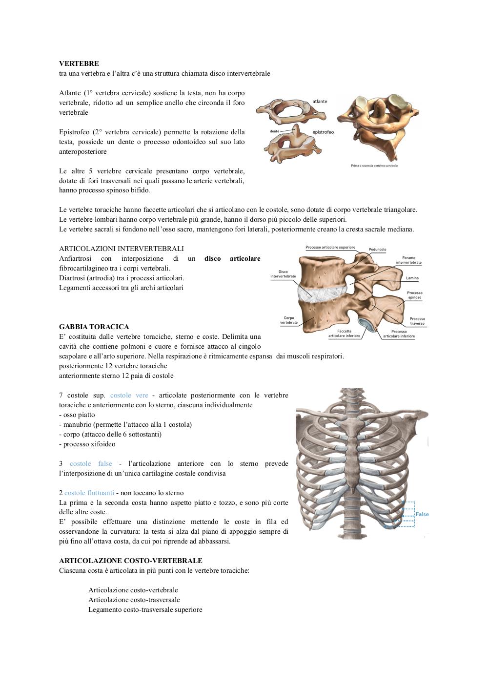 Preview documento per pagina 6
