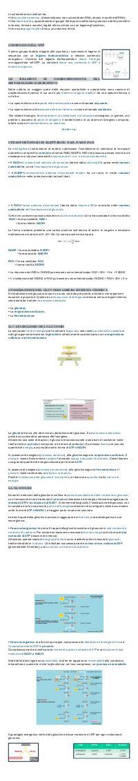 Preview documento per pagina 2