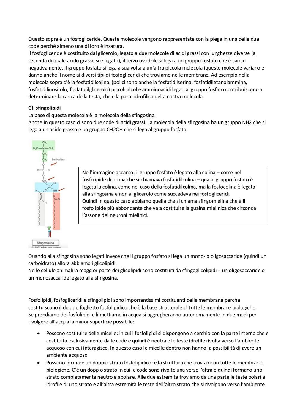 Preview documento per pagina 13