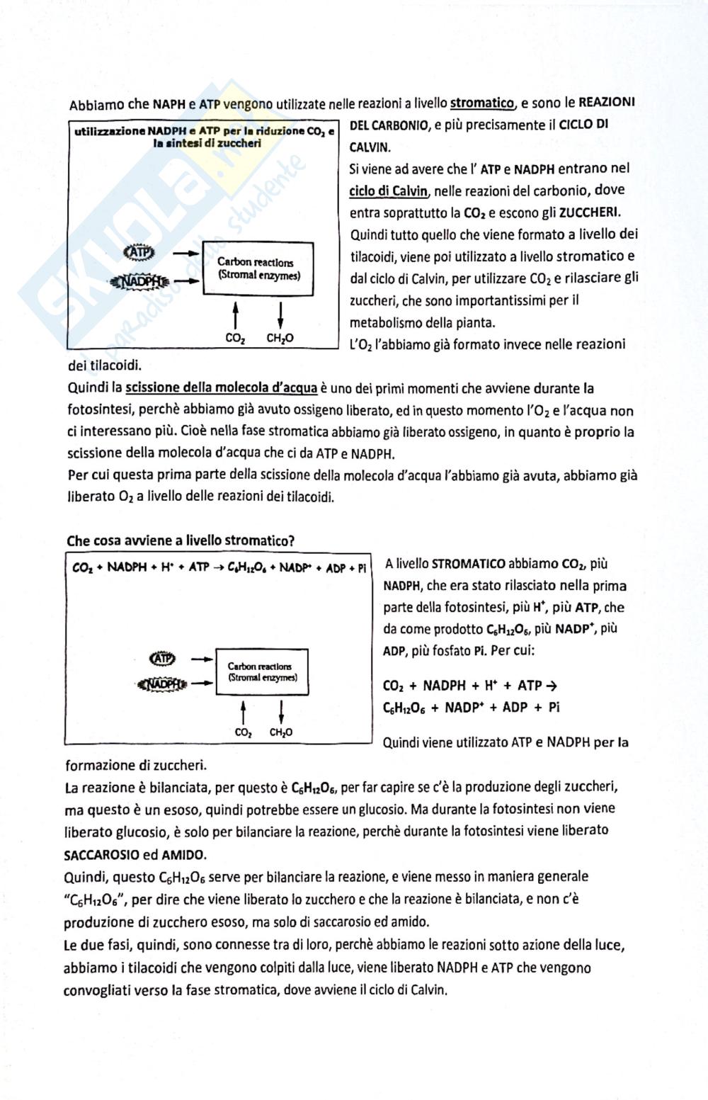 Preview documento per pagina 6