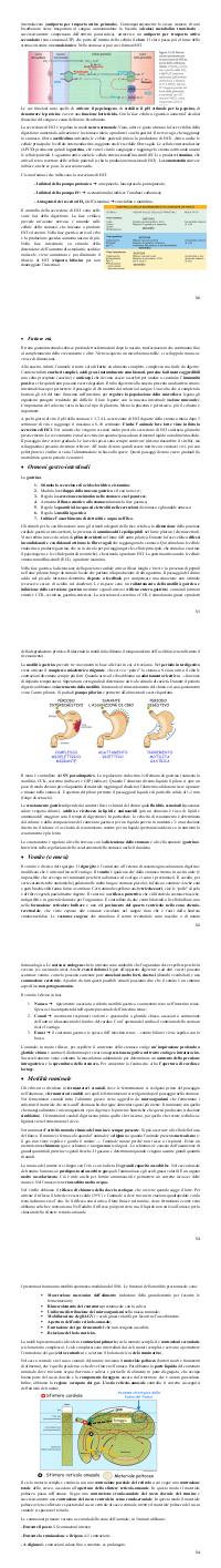 Preview documento per pagina 50