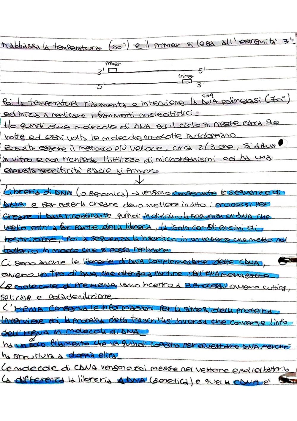 Preview documento per pagina 6