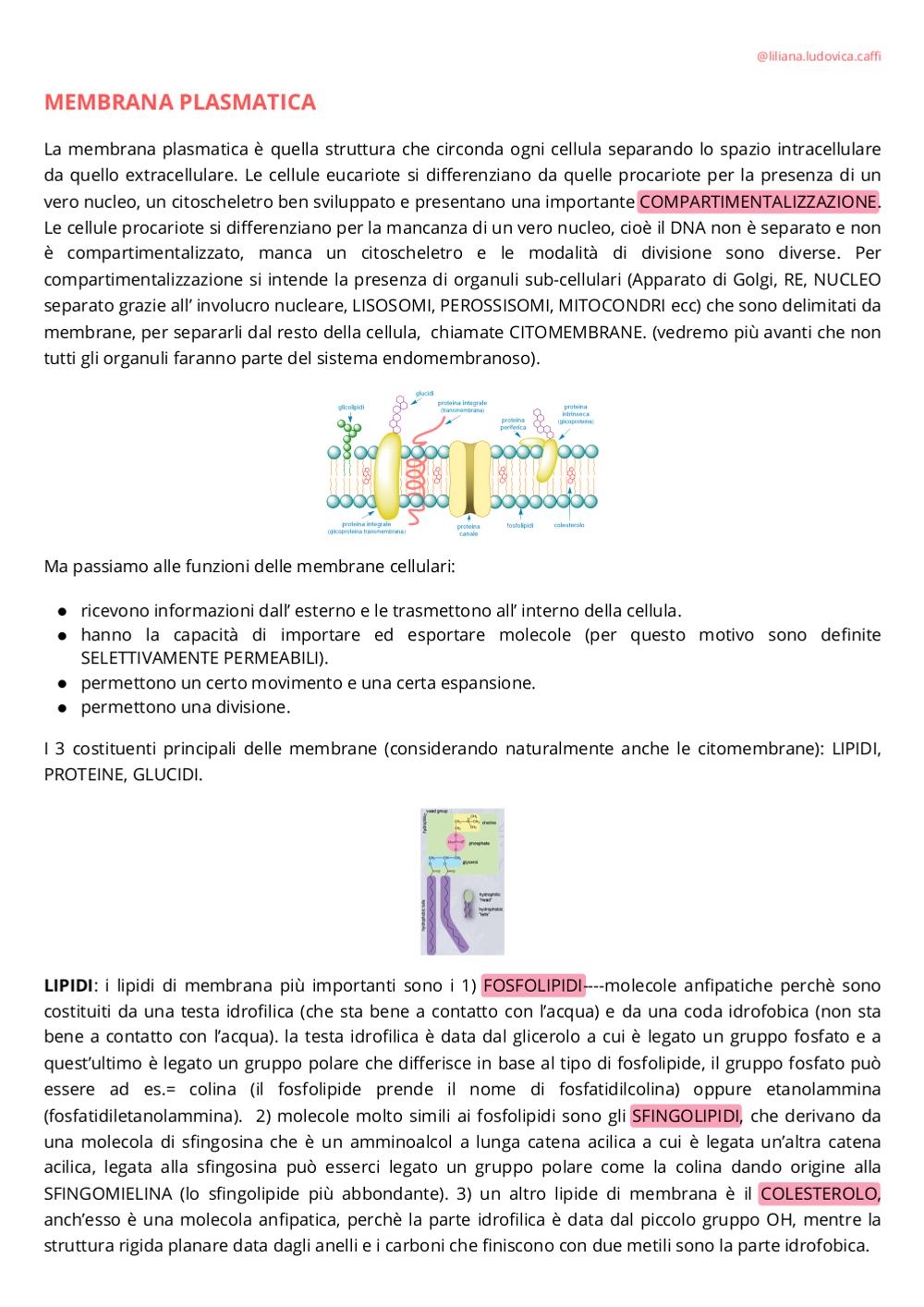 Preview documento per pagina 1