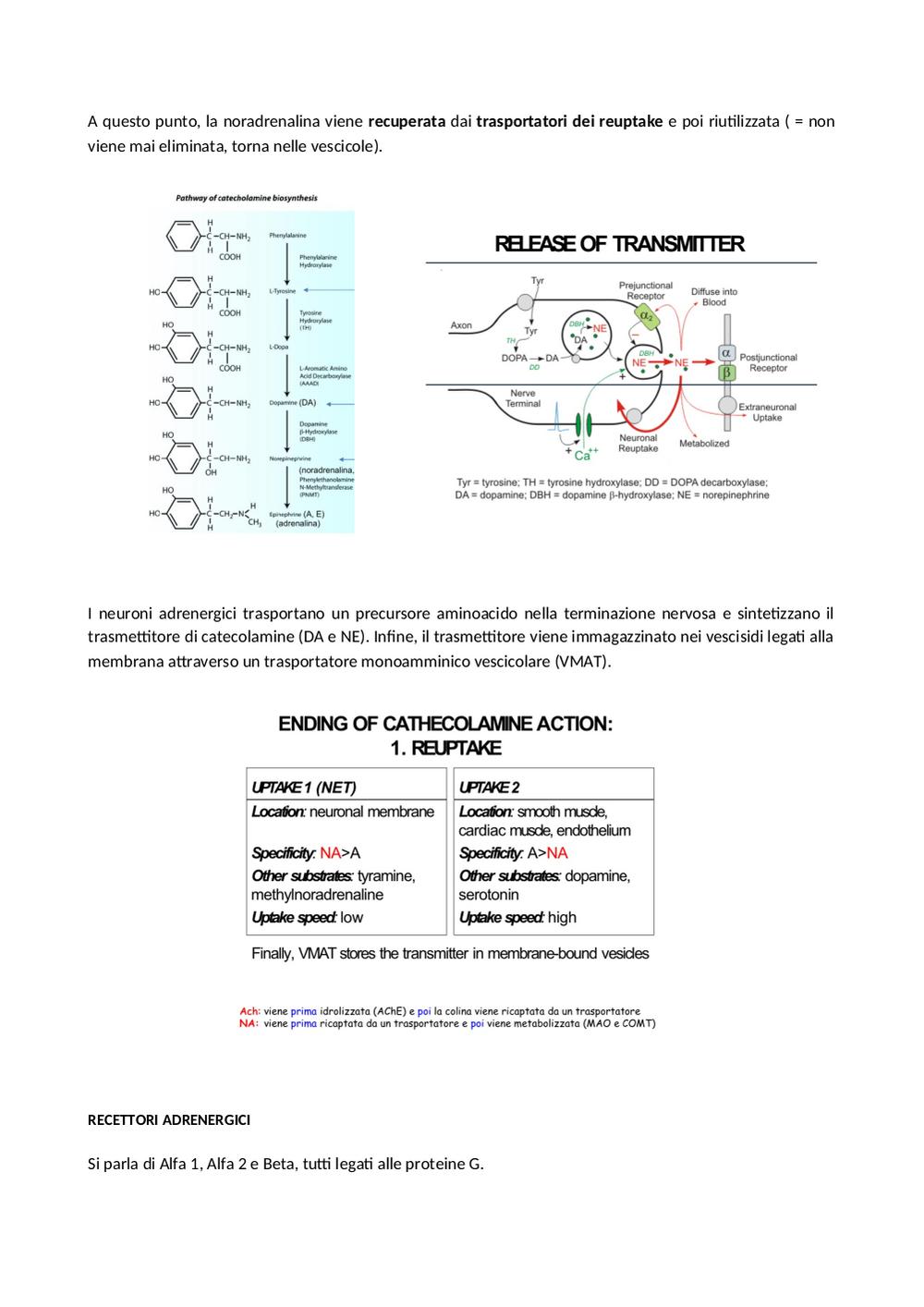 Preview documento per pagina 67