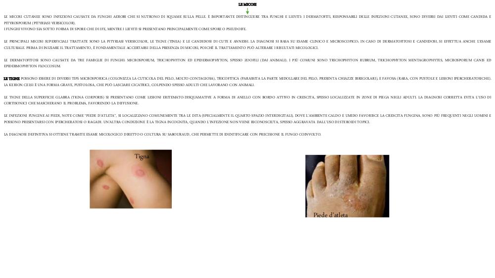 Preview documento per pagina 11