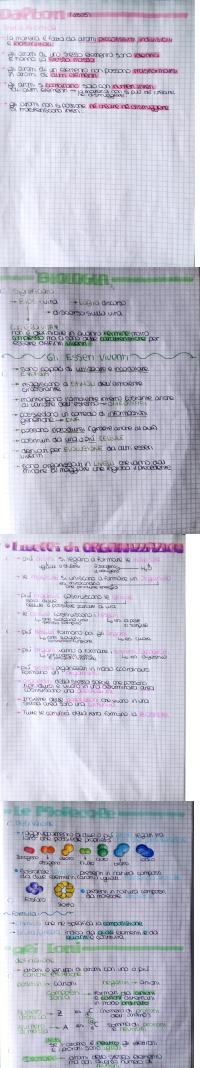 Preview documento per pagina 2