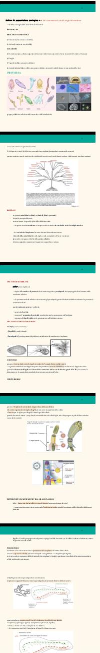 Preview documento per pagina 2