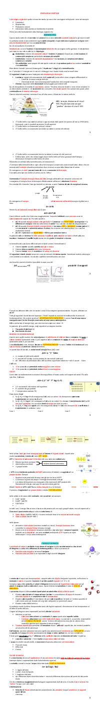 Preview documento per pagina 2