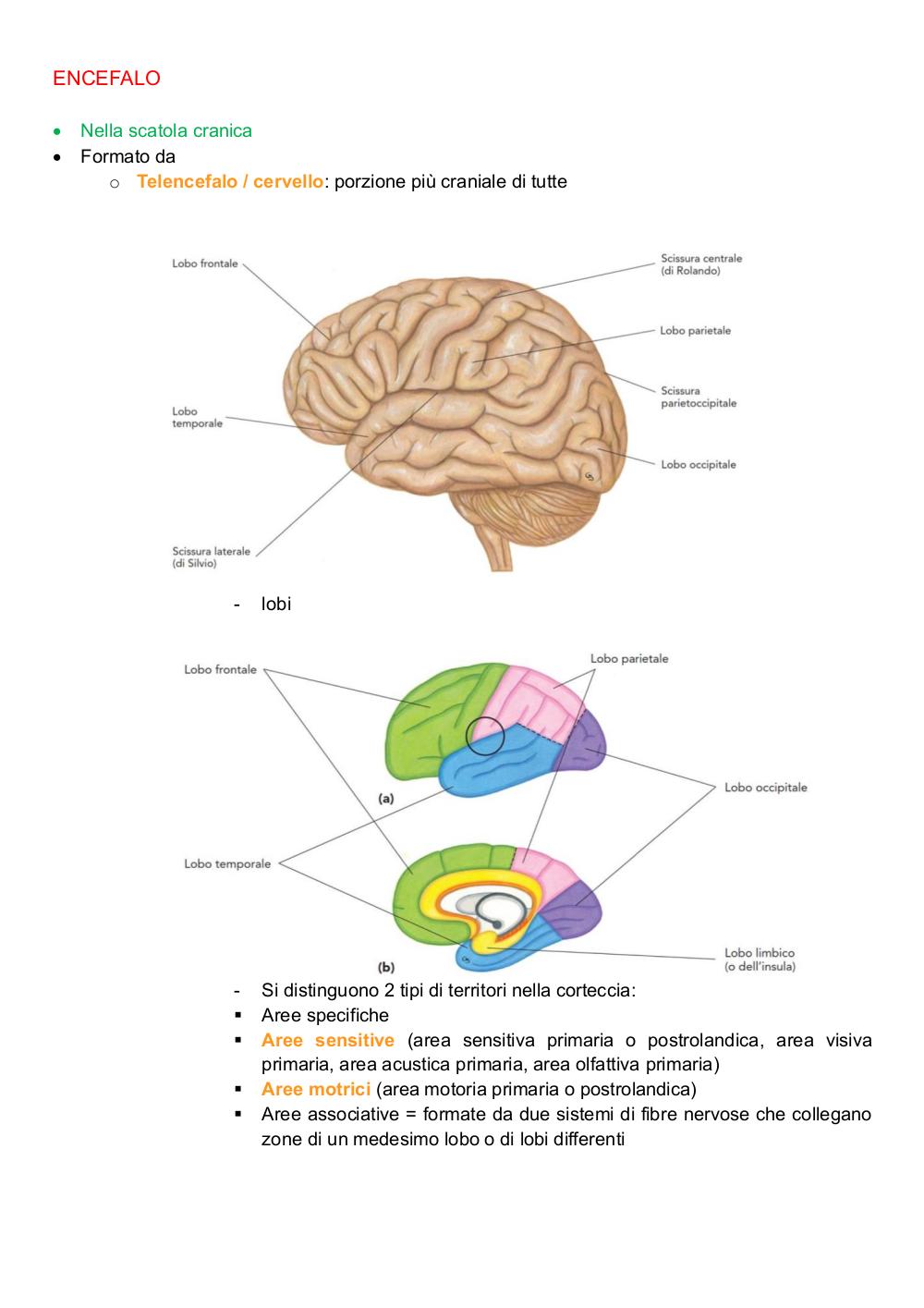 Preview documento per pagina 103